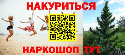 стаф Севастополь