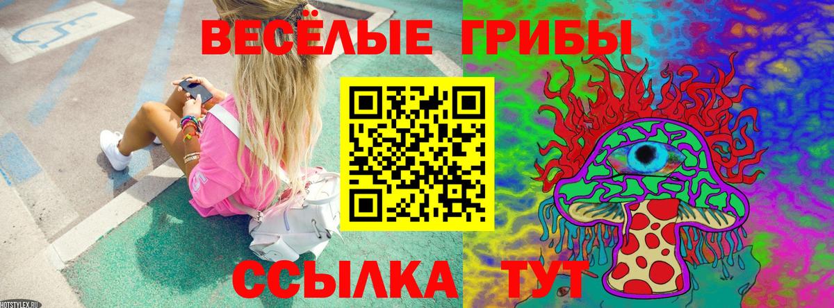 Северск  Псилоцибиновые грибы Cubensis  магазин продажи   Вход с VPN  Галлюциногенные грибы ЛСД 