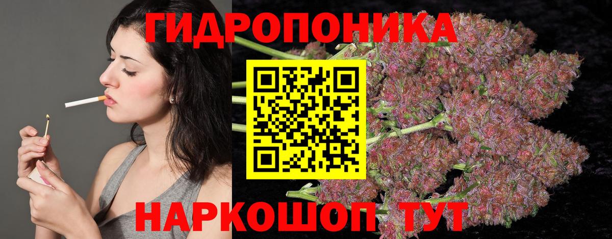 Северск  Каннабис индика  Вход с VPN  Конопля ГИДРОПОН  Бошки Шишки MAZAR 